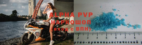 гашик Новозыбков