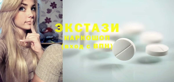 гашик Новозыбков