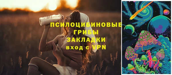 метадон Алексин