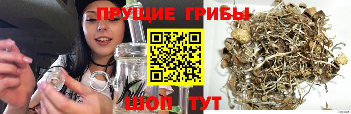 Лабинск  Галлюциногенные грибы GOLDEN TEACHER  Галлюциногенные грибы MAGIC MUSHROOMS  Вход с VPN 